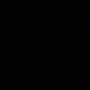 Meet your Posher, Wynnie